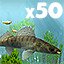 Caught 50 fish in Alaska