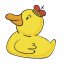 King of My Duck