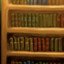 The librarian