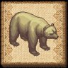 Brown Bears