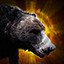 First killed bear