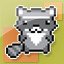 Raccoon