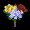 Flowers everywhere