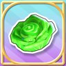 Lettuce Wonder
