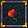 Marruu's Rose