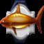 Legendary catch: Gorgemaw