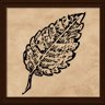 Turning Over a New Leaf