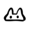 Raccoon
