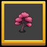 Unlock the pink cherry tree!