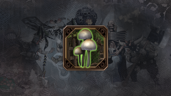 Beware of Mushrooms