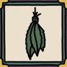 A herb