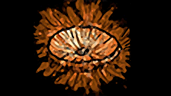 End: Nuke the overworld