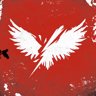 Clipped Wings