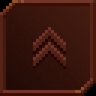 Bronze Career