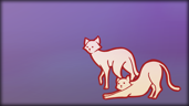 Found 420 cats