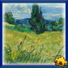 Green Wheat Field with Cypress