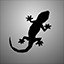 Bought a Gecko