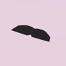 Fake moustache