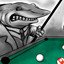 Shark Attack
