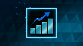 High-Stakes Investor