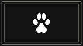 Pet Detective