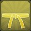 Yellow Belt