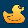 Duck Hunt