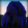 Holo (Blue)