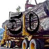50 Logging Camps