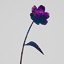 The Cosmic Flower