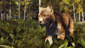 A Lynx to the Past