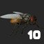 LEVEL 10