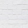 Watch White Paint Dry