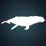 Whale, Whale, Whale...