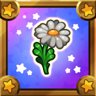 Flower power
