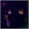 Date Whyp