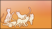 Found 180 cats