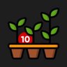 Buy 10 Seedling