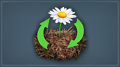 Completed "Nothing dies, everything returns"