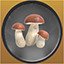 Porcini Mushrom