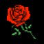 255 Roses