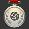 Volleyball Veteran