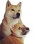Nuki & Filou
