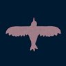 Flight of the Hawk