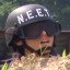 N.E.E.T.