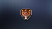 ACE BRAWLER