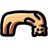 Xipil
