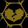 Beetrayal