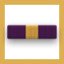 Distinguished Service Medal