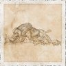Fertile-Horns-Foraging